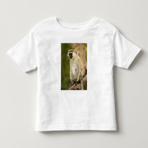 T-shirt Pour Les Tous Petits Kenya, parc national du lac Nakuru. Vervet