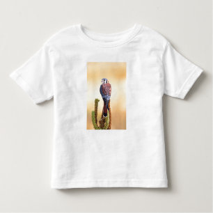 T-shirt Pour Les Tous Petits Kestrel, Falco sparverius, Native de US & Canada
