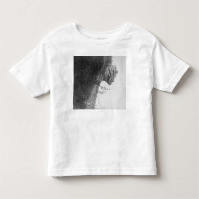 T-shirt Pour Les Tous Petits La roche principale de la grenouille sur la (Devant)
