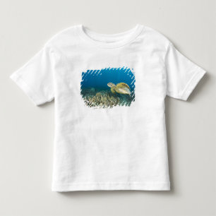 T-shirt Pour Les Tous Petits La tortue verte, (Chelonia mydas), est la 3