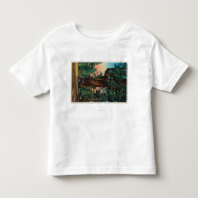 T-shirt Pour Les Tous Petits L'arbre de lustre, parc de sous-bois (Devant)