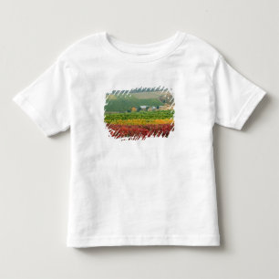 T-shirt Pour Les Tous Petits Le brouillard se glisse sur le Gehring Brothers Wi