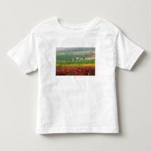 T-shirt Pour Les Tous Petits Le brouillard se glisse sur le vignoble Gehring Br