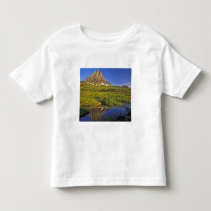 T-shirt Pour Les Tous Petits Le mont Clements se reflète dans une petite mare à