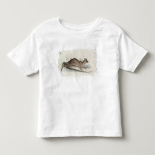 T-shirt Pour Les Tous Petits Le putois, 19ème siècle