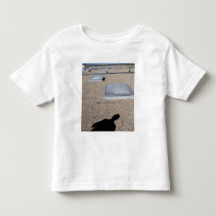 T-shirt Pour Les Tous Petits Le système de d'éclairage de jour solaire