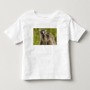 T-shirt Pour Les Tous Petits Lémurs à queue annelée (Lemur catta) Mère et bébé.