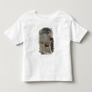 T-shirt Pour Les Tous Petits Les api Taureau, du Serapeum, Memphis