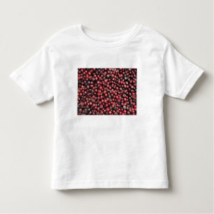 T-shirt Pour Les Tous Petits Les baies rouges de l'Himalaya