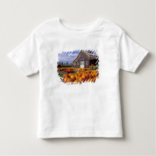 T-shirt Pour Les Tous Petits Les Etats-Unis, Vermont, Shelbourne, citrouilles