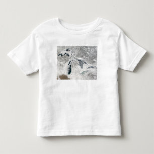 T-shirt Pour Les Tous Petits Les Great Lakes 2