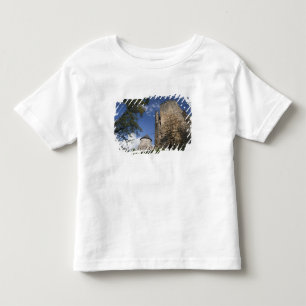 T-shirt Pour Les Tous Petits Lettonie, Lettonie du Nord-Est, Région de Vidzeme,