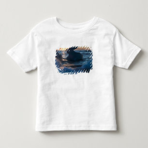 T-shirt Pour Les Tous Petits Lever de soleil et formations d'icebergs