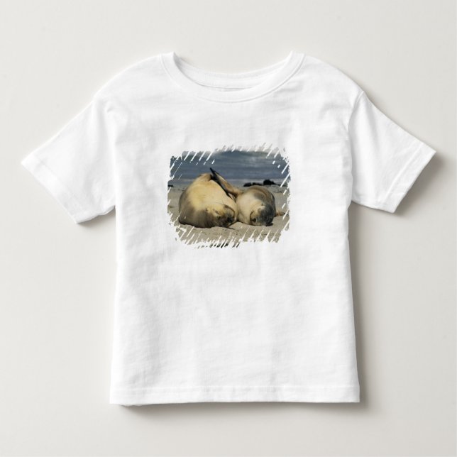 T-shirt Pour Les Tous Petits Lions de la mer d'Australie (Neophoca cinerea), (Devant)