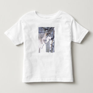 T-shirt Pour Les Tous Petits Loup de bois, Canis lupus, Animal de cinéma Utah)