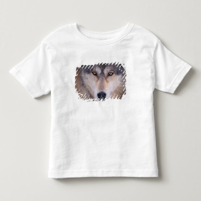 T-shirt Pour Les Tous Petits loup gris, Canis lupus, gros plan des yeux (Devant)