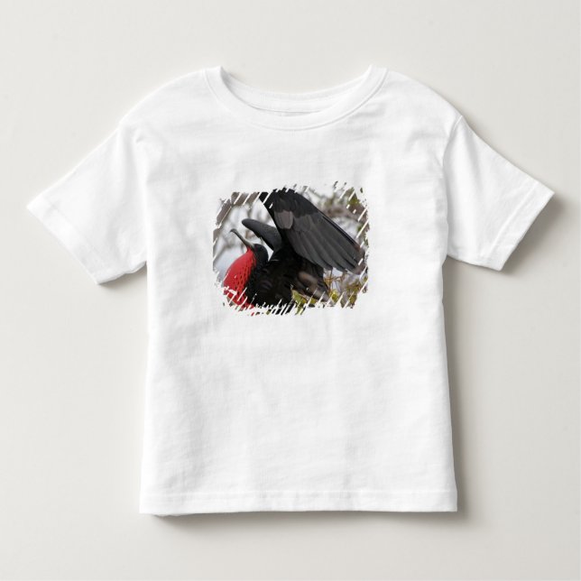 T-shirt Pour Les Tous Petits Magnifique Frigate Bird (Devant)