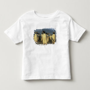 T-shirt Pour Les Tous Petits Manchots papous, (Pygoscelis papua), Falkland