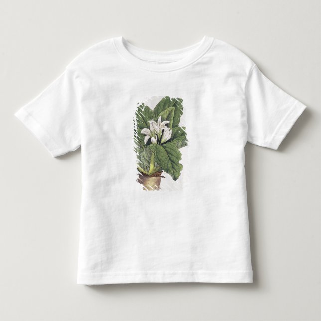 T-shirt Pour Les Tous Petits Mandragora d'atrope (Devant)