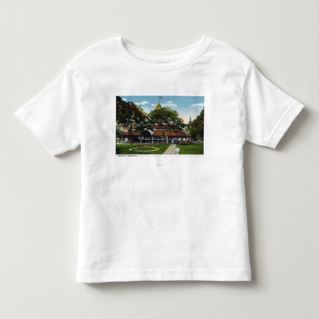T-shirt Pour Les Tous Petits Martha's Vineyard, vue de méthodiste (Devant)