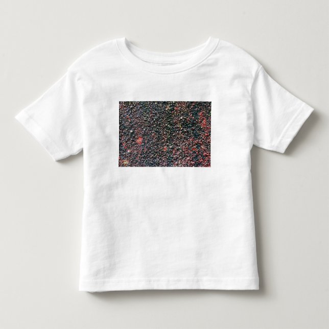 T-shirt Pour Les Tous Petits mélange de canneberge (Devant)