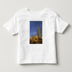 T-shirt Pour Les Tous Petits Mexique, Basse-Californie du Nord, Catavina Desert