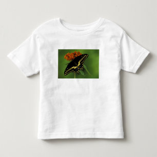 T-shirt Pour Les Tous Petits Michigan, Rochester. Noir américain de l'Est