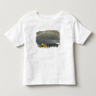 T-shirt Pour Les Tous Petits Mission historique de St Ignatius à St Ignatius, 2