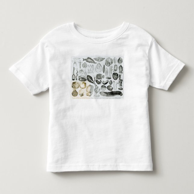 T-shirt Pour Les Tous Petits Mollusques (Devant)