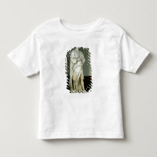T-shirt Pour Les Tous Petits Monsieur Isaac Newton