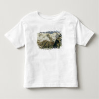 Montagnes de Mont Blanc, 1897