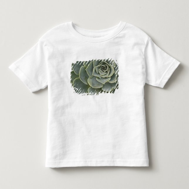 T-shirt Pour Les Tous Petits Motif de cactus (Devant)