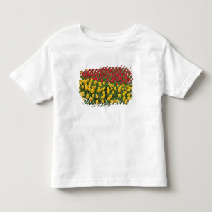 T-shirt Pour Les Tous Petits Motif de jardin de tulipes, Jardins de Keukenhof,
