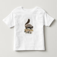 Mouffette, de "Histoire Naturelle" par