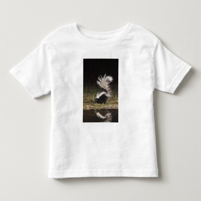 T-shirt Pour Les Tous Petits Mouffette rayée, Mephitis mephitis (Devant)