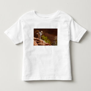 T-shirt Pour Les Tous Petits Mouflon du désert (Ovis canadensis nelsoni).