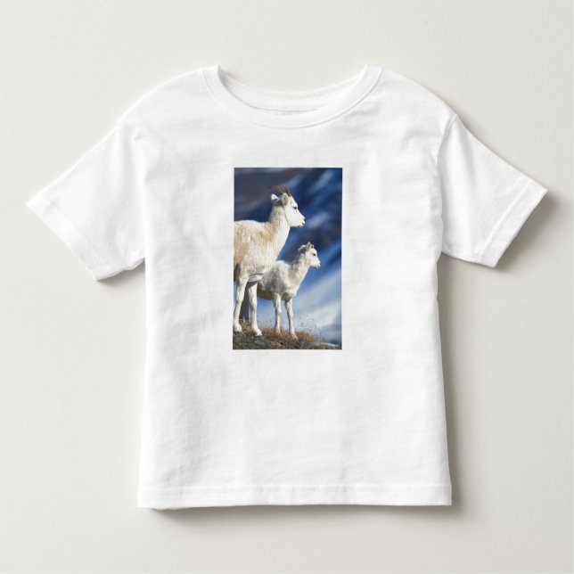 T-shirt Pour Les Tous Petits mouflons, Ovis dalli, brebis et agneau (Devant)