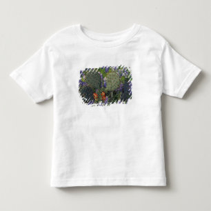 T-shirt Pour Les Tous Petits N.A., États-Unis, Texas, Cactus entouré de
