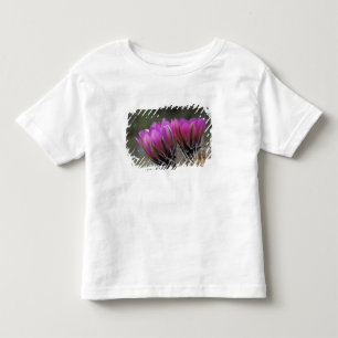T-shirt Pour Les Tous Petits NA, États-Unis, Arizona, désert de Sonora. Hérisso