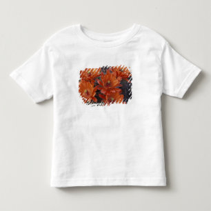 T-shirt Pour Les Tous Petits NA, États-Unis, Arizona, San Xavier. Cactus Coupe 