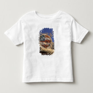 T-shirt Pour Les Tous Petits NA, États-Unis, Colorado, Gunnison. Rouleau de foi