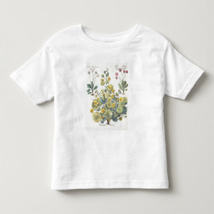 T-shirt Pour Les Tous Petits Nasturces et marguerites : 1.Nasturtium Indicum ;