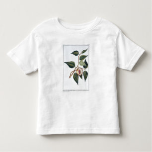 T-shirt Pour Les Tous Petits Noix de muscade, plat 7, de 'collection Precieuse