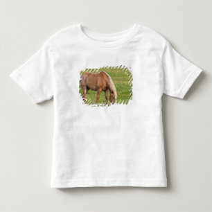 T-shirt Pour Les Tous Petits Nouveau-Brunswick, Canada. Cheval sur le terrain.