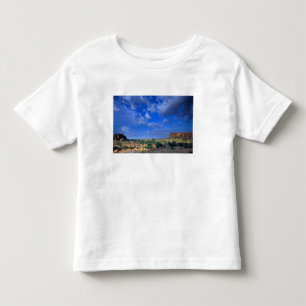 T-shirt Pour Les Tous Petits Nuages balayant le ciel au-dessus de