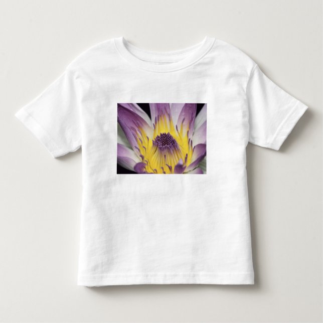 T-shirt Pour Les Tous Petits Océanie, Fidji, Panama violet Nymphe (Devant)