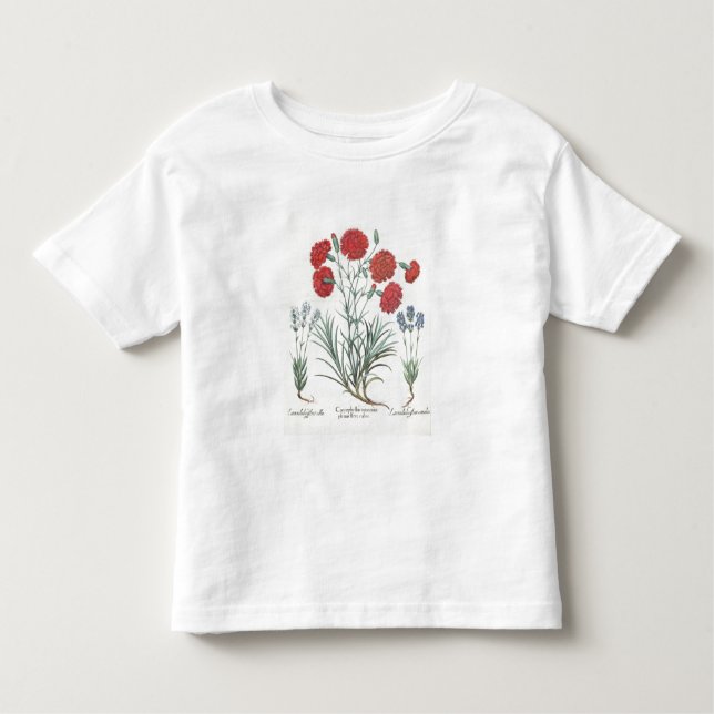 T-shirt Pour Les Tous Petits Oeillets et lavande : 1.Caryophyllus maximus pl (Devant)