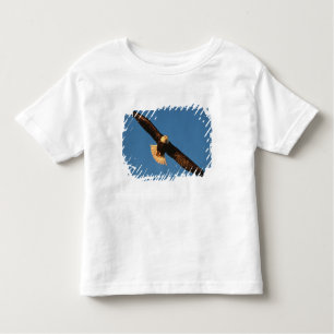 T-shirt Pour Les Tous Petits Oiseau de Prey, Aigle de Bald en vol, Kachemak