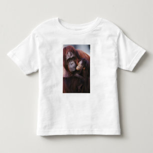 T-shirt Pour Les Tous Petits Orang-outan de Sumatra femelle avec bébé, Pongo
