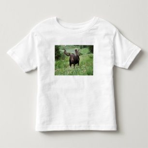 T-shirt Pour Les Tous Petits Orignal mâle (Alces alces) dans les fleurs sauvage